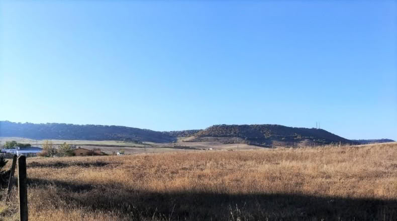Valladolid - Tudela de Duero - 7000m2