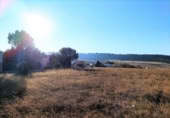 House with land for sale on España, Tudela de Duero, ref: TR298655 photo