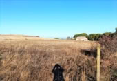House with land for sale on España, Tudela de Duero, ref: TR298655 photo