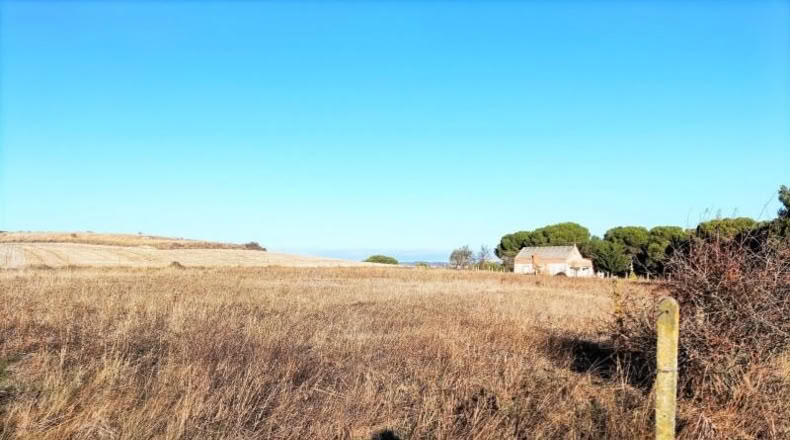 Valladolid - Tudela de Duero - 7000m2