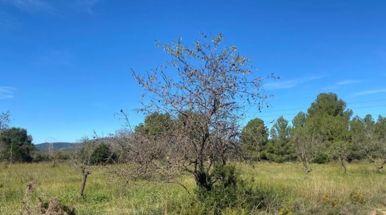 Tarragona - el Pont d'Armentera - 40944m2