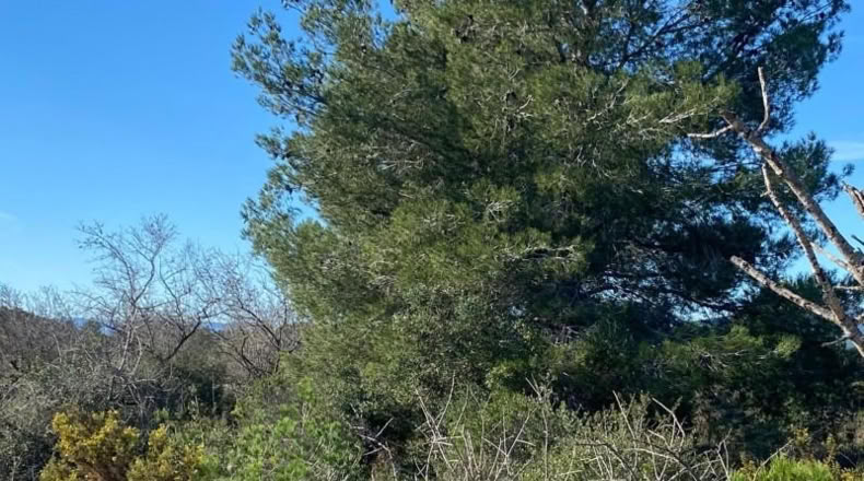 Tarragona - el Pont d'Armentera - 40944m2
