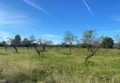 Terreny no urbanitzable en venda a la España, el Pont d'Armentera, ref.: TR177321 foto