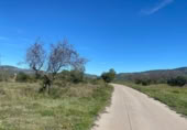 Terreny no urbanitzable en venda a la España, el Pont d'Armentera, ref.: TR177321 foto