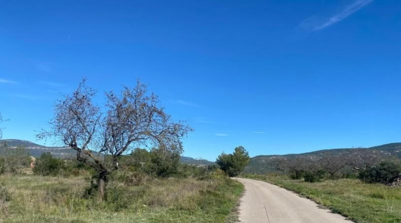 Tarragona - el Pont d'Armentera - 40944m2