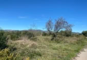 Terreny no urbanitzable en venda a la España, el Pont d'Armentera, ref.: TR177321 foto