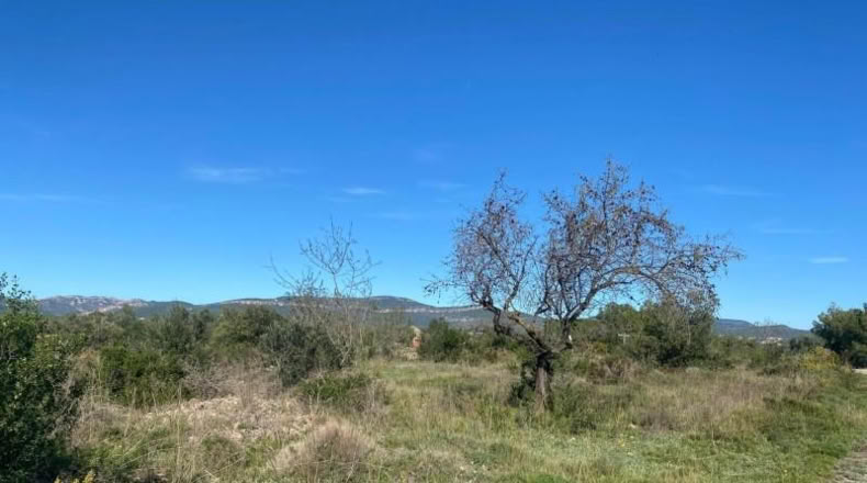 Tarragona - el Pont d'Armentera - 40944m2