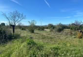 Terreny no urbanitzable en venda a la España, el Pont d'Armentera, ref.: TR177321 foto