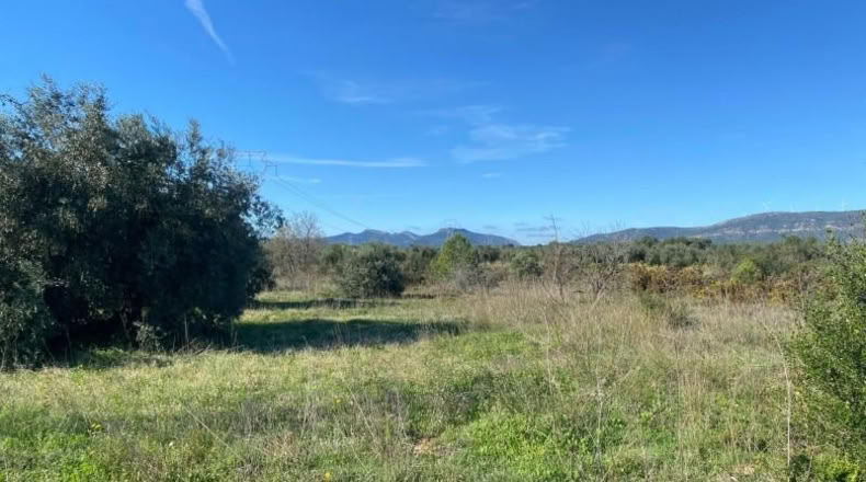 Tarragona - el Pont d'Armentera - 40944m2