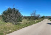 Terreny no urbanitzable en venda a la España, el Pont d'Armentera, ref.: TR177321 foto
