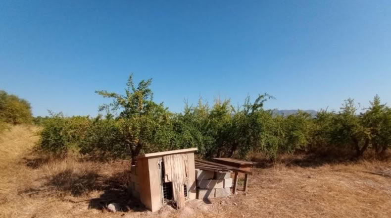 Alicante - Albatera - 11246m2