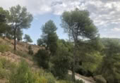Sòl urbà en venda a la España, Sant Llorenç Savall, ref.: TR115204 foto