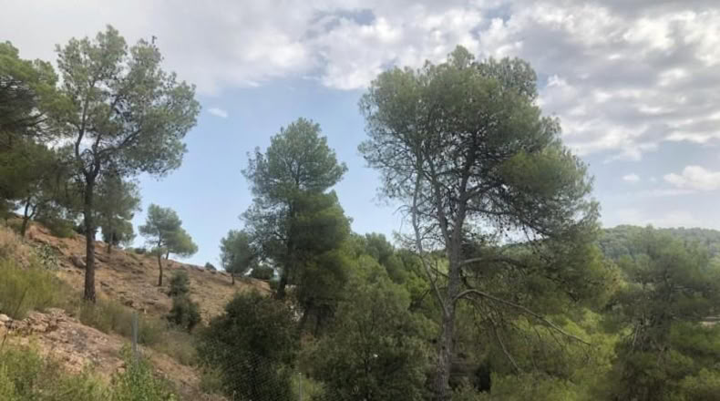Barcelona - Sant Llorenç Savall - 971m2