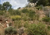 Sòl urbà en venda a la España, Sant Llorenç Savall, ref.: TR115204 foto