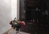 Chalet independiente con terreno en venta en la España, Alarba, ref: TR304326 foto