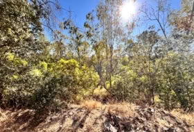 Guillena 4000&nbsp;м²
