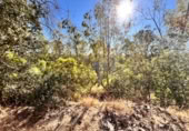 Non-developable land for sale on España, Guillena, ref: TR170484 photo