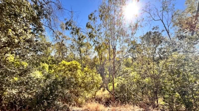 Sevilla - Guillena - 4000m2
