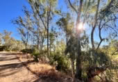 Non-developable land for sale on España, Guillena, ref: TR170484 photo