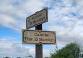 Non-developable land for sale on España, Ponferrada, ref: TR282654 photo