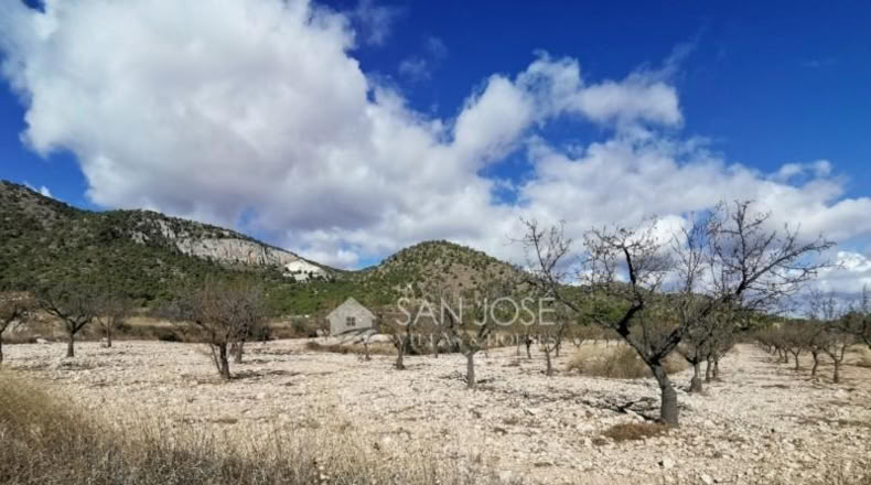 Alicante - Monóvar - 16059m2