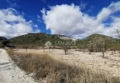 Land suitable for development for sale on España, Monóvar, ref: TR113275 photo