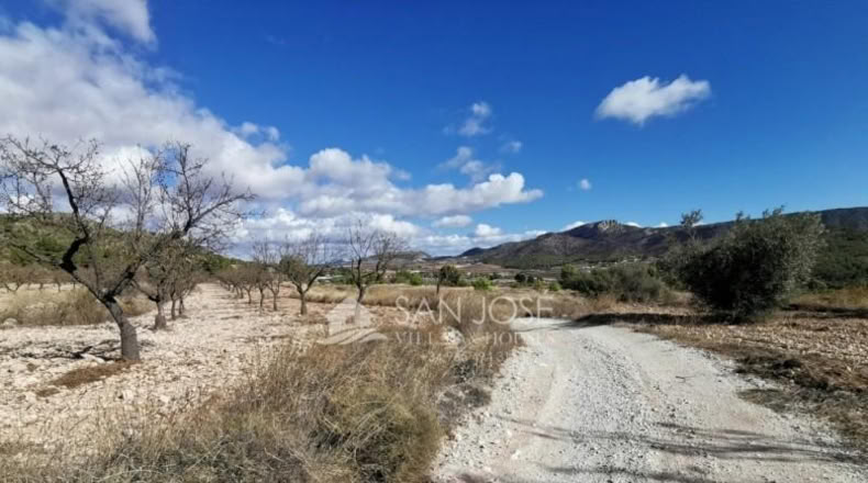 Alicante - Monóvar - 16059m2