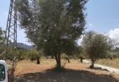 Terreny no urbanitzable en venda a la España, Orba, ref.: TR113490 foto