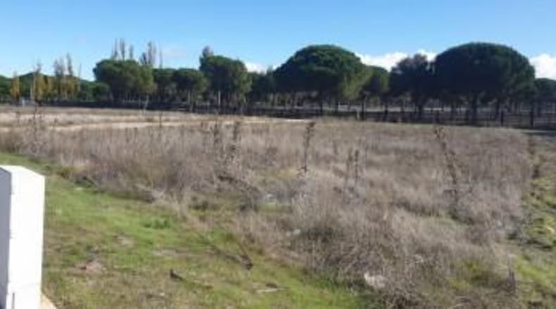 Valladolid - Aldeamayor de San Martín - 1390m2