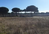 Parcela urbanizable en venta en la España, Aldeamayor de San Martín, ref: TR117131 foto