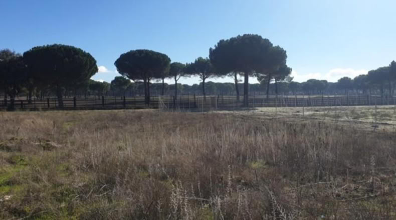 Valladolid - Aldeamayor de San Martín - 1390m2