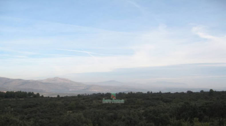 Granada - Дейфонтес - 20000m2