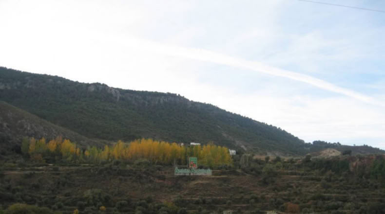 Granada - Дейфонтес - 20000m2