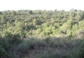 Terreno no urbanizable en venta en la España, Deifontes, ref: TR300310 foto