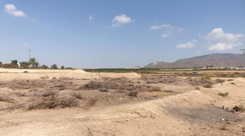 Múrcia - Alhama de Murcia - 11813m2