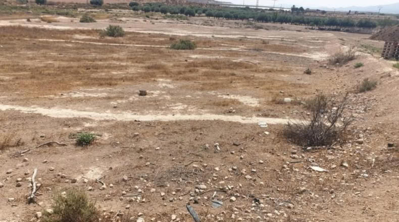 Múrcia - Alhama de Murcia - 11813m2