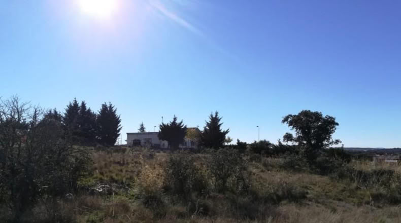 Salamanca - Buenavista - 1280m2