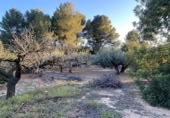 Terreno no urbanizable en venta en la España, el Perelló, ref: TR121073 foto