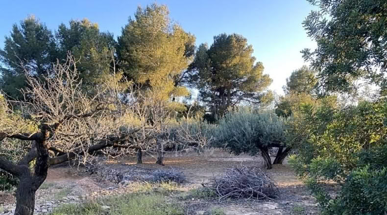 Tarragona - el Perelló - 4969m2