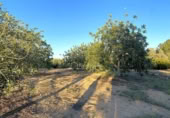 Terreno no urbanizable en venta en la España, el Perelló, ref: TR121073 foto