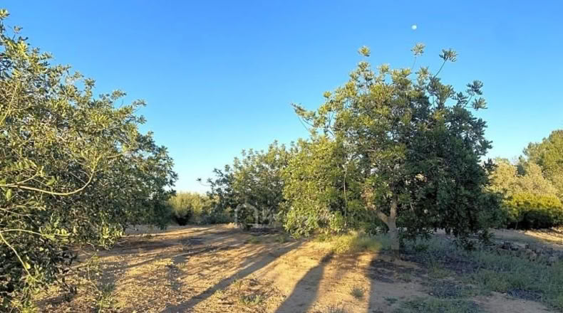 Tarragona - el Perelló - 4969m2