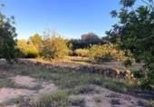 Terreno no urbanizable en venta en la España, el Perelló, ref: TR121073 foto
