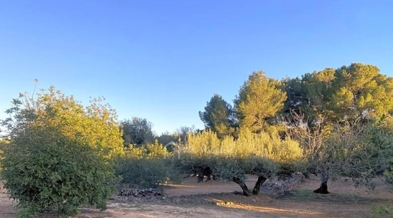 Tarragona - el Perelló - 4969m2