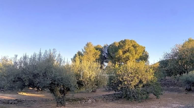 Tarragona - el Perelló - 4969m2