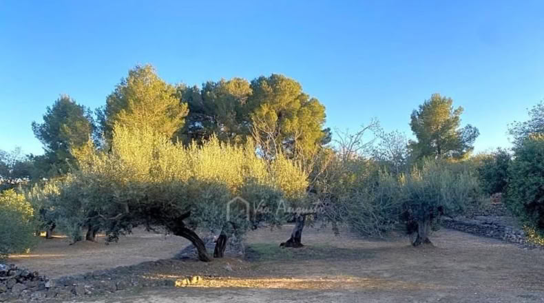 Tarragona - el Perelló - 4969m2