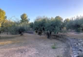 Terreno no urbanizable en venta en la España, el Perelló, ref: TR121073 foto