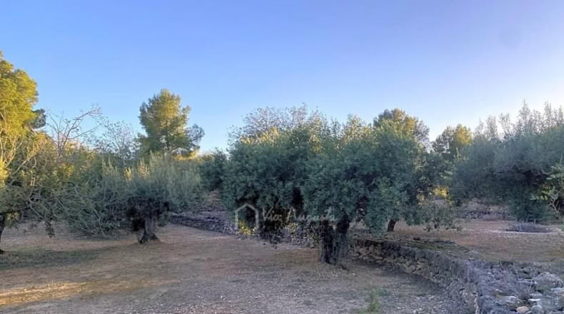 Tarragona - el Perelló - 4969m2