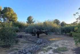 Foto 8