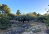 Terreno no urbanizable en venta en la España, el Perelló, ref: TR121073 foto
