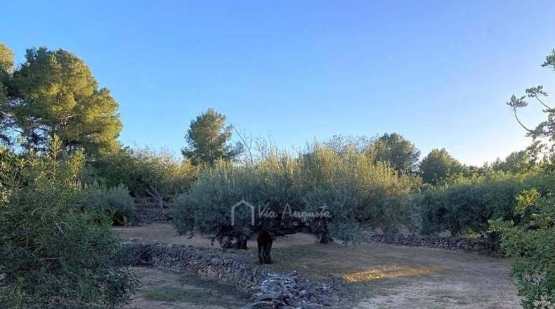 Tarragona - el Perelló - 4969m2